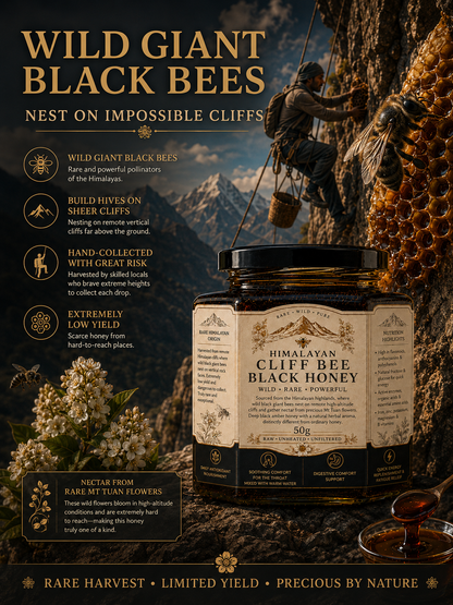 Himalayan Cliff Bee Black Honey-A