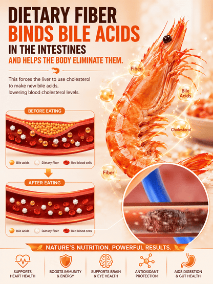 🔥 Dried Sea Shrimp ‖ No Sugar Crash, More Protein, Real Seafood Flavor-A