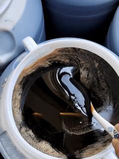 Himalayan Cliff Bee Black Honey-A